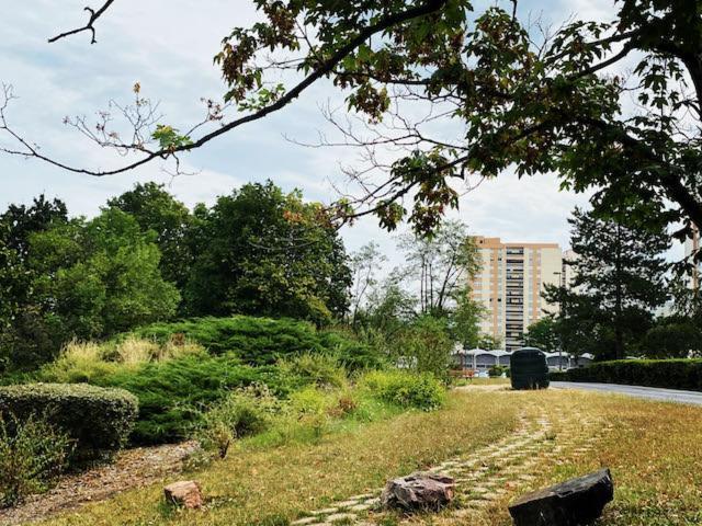 Les Meubles Les Domes Du Parc Lejlighed Clermont-Ferrand Værelse billede